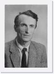 1964 environ Buste